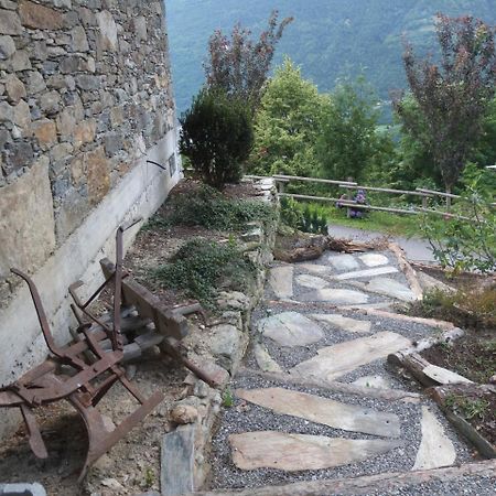 Agriturismo Al Castagneto Vila Mazzo di Valtellina Exterior foto