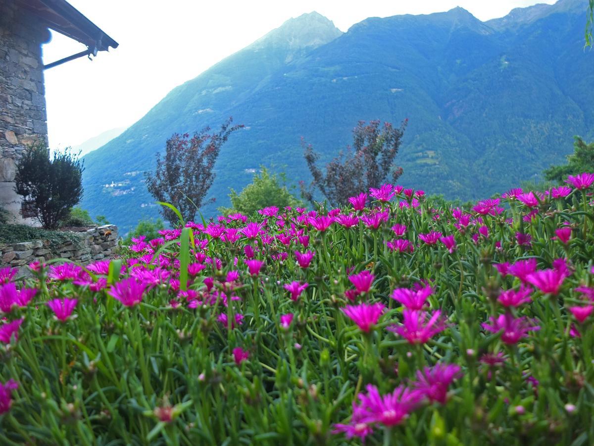 Agriturismo Al Castagneto Vila Mazzo di Valtellina Exterior foto