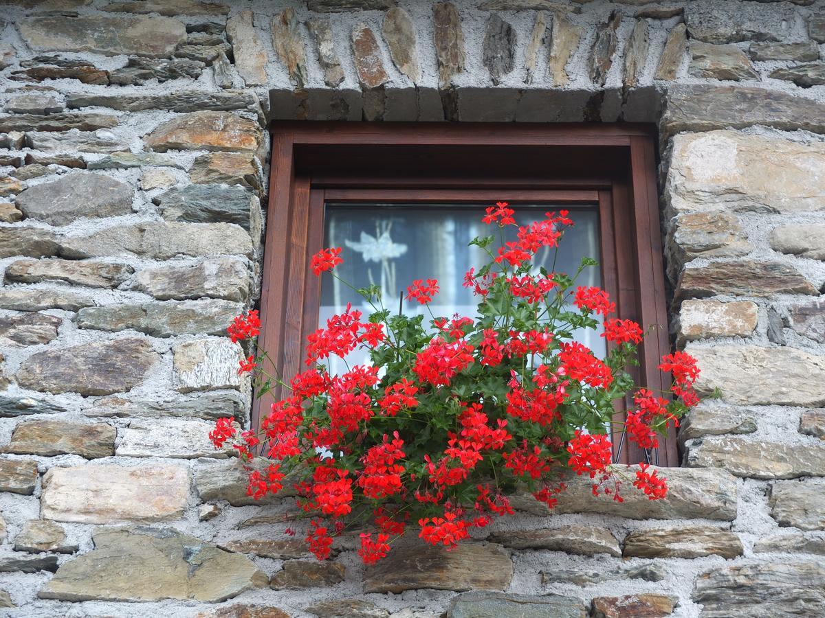 Agriturismo Al Castagneto Vila Mazzo di Valtellina Exterior foto